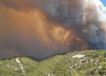 اندلاع حريق ضخم في غابات أنطاليا