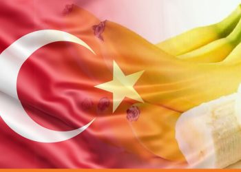 تركيا تواصل إجراءات ترحيل السوريين بجريمة “الموز”!