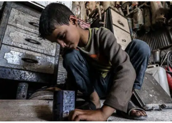 برلماني: تركيا بها مليوني “طفل عامل”