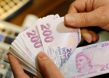 الليرة التركية تنخفض 29% أمام العملة الأفغانية