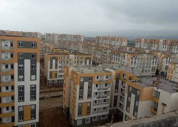 وجه الجمال ووجه التراب