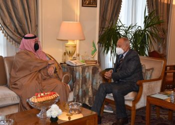 أبو الغيط يلتقي رئيس برنامج الخليج العربي للتنمية