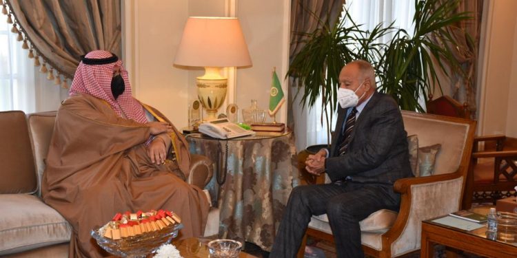 أبو الغيط يلتقي رئيس برنامج الخليج العربي للتنمية