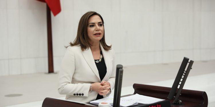 برلمانية تطالب بوضع حد لانتشار السلاح في تركيا