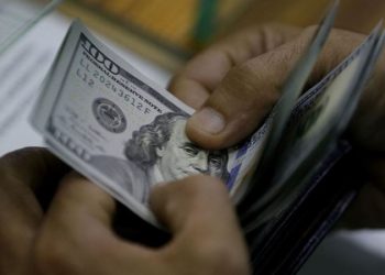 قيادي بالعدالة والتنمية: الأتراك لا يرغبون في التخلي عن الدولار