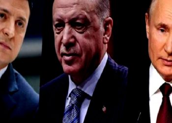 إزفستيا: تركيا تقامر بلعب دور الوسيط بين روسيا وأوكرانيا