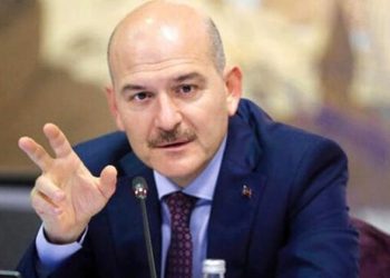 الإعلان عن عدد السوريين الحاصلين على الجنسية التركية