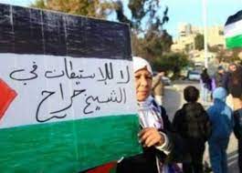 مصر تدين انتهاكات الإحتلال الإسرائيلي في حي “الشيخ جراح” في القدس