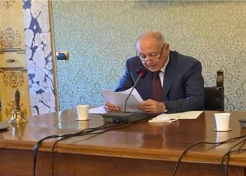 أبو الغيط: اليوم العالمي للمرأة تقدير لما تبذله النساء لاستقرار الأسر