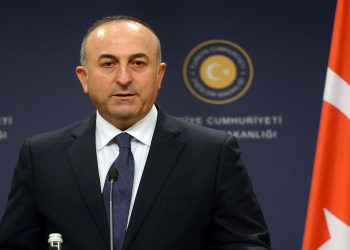 وزير الخارجية التركي في الإمارات