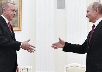 صحفي تركي: أردوغان توسل إلى بوتين لعقد قمة في تركيا