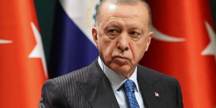 هل يمنع الدستور أردوغان من الترشح لولاية رئاسية جديدة؟