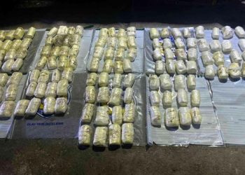 تركيا.. ضابط شرطة ينقل 52 كجم متفجرات فى سيارته! 