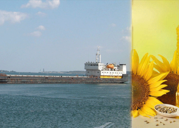 روسيا تدرس تطبيق “الكوتا” في صادراتها من زيت عباد الشمس