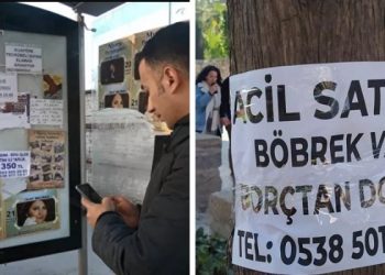 الفقر يدفع الأتراك إلى “تجارة الأعضاء” البشرية