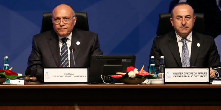 وزير خارجية مصر يُفطر في تركيا قريبًا