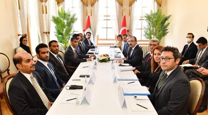 الإمارات تريد مضاعفة التجارة مع تركيا