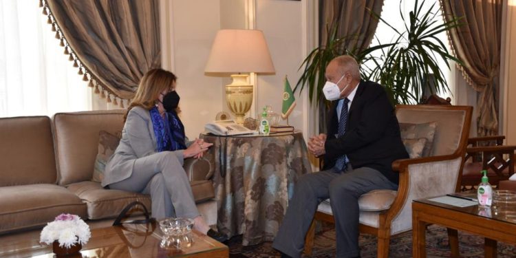 أبو الغيط يبحث مع ستيفاني ويليامز تطورات الوضع في ليبيا