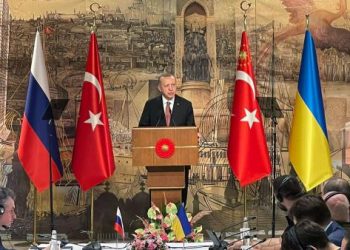 خبير أمريكي: حرب أوكرانيا قد تعيد قوة تركيا ومكانتها
