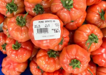 بيع الخضروات والفاكهة في تركيا بالقطعة