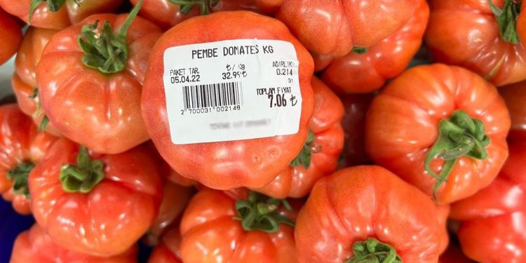 بيع الخضروات والفاكهة في تركيا بالقطعة