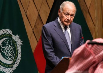 أبو الغيط يطالب أطراف النزاع في اليمن باحترام الهدنة