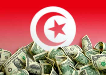 ارتفاع تكلفة الحصول على الجنسية التركية للأجانب من 250 إلى 400 ألف دولار