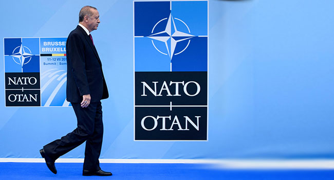 سيناتور كندي يقترح طرد تركيا من حلف الناتو