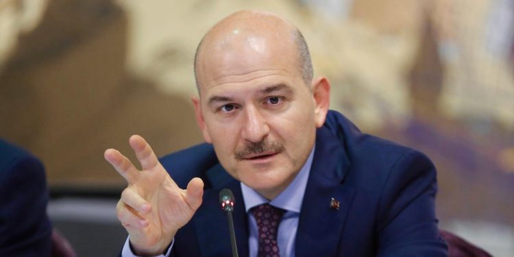 أنقرة تمنح 300 ألف سوري الجنسية التركية