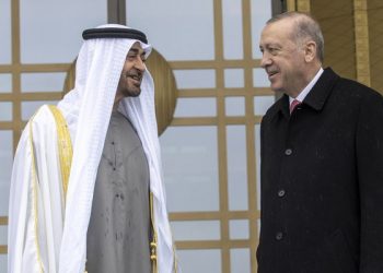 صندوق الثروة السيادية الإماراتي يستعد لشراء شركة الدواء التركية