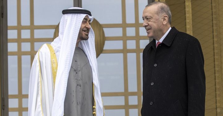 صندوق الثروة السيادية الإماراتي يستعد لشراء شركة الدواء التركية