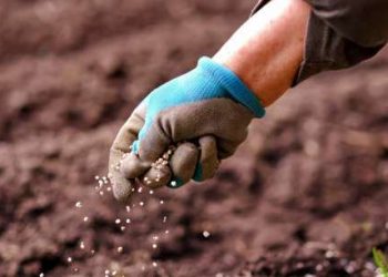 تركيا: 1050 ليرة زيادة في أسعار السماد بسبب تدهور الليرة