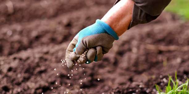 تركيا: 1050 ليرة زيادة في أسعار السماد بسبب تدهور الليرة