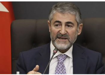  هل منع أردوغان وزير المالية من الإدلاء بتصريحات؟