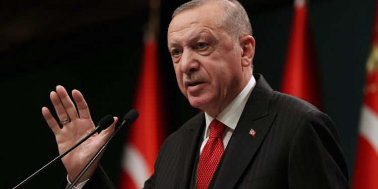 صحفي تركي: أردوغان فضولي ولا يثق في نفسه