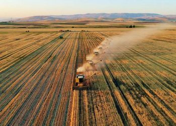 تركيا تستأجر أراضي في 10 دول لزراعتها