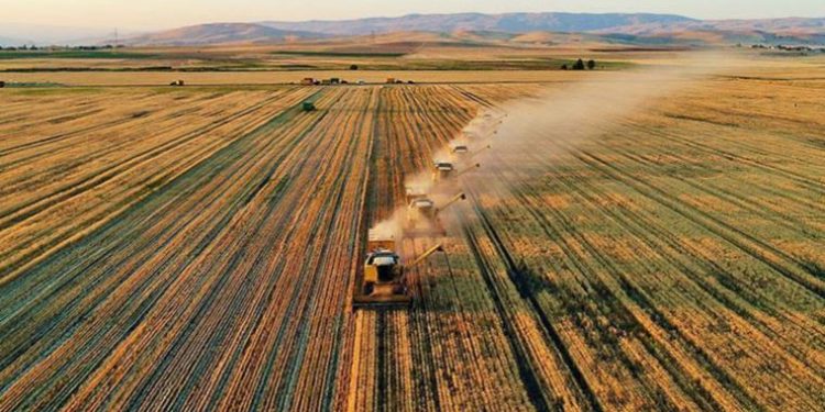 تركيا تستأجر أراضي في 10 دول لزراعتها