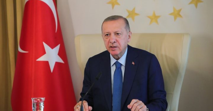 هل يدعو أردوغان في 15 يوليو لانتخابات مبكرة؟