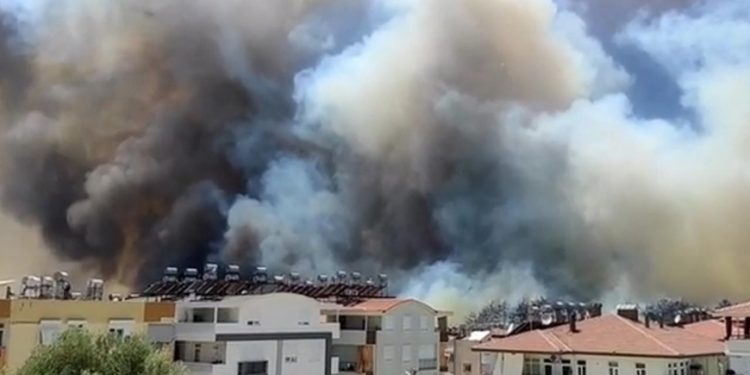 اندلاع حريق ضخم في الغابات قرب المنتجعات السياحية في مدينة “مارماريس” التركية