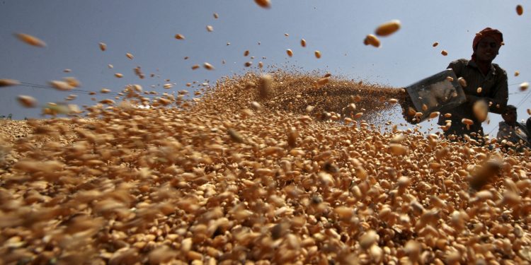 مزيدٌ من القيود تفرضها “الهند” على تصدير الدقيق والقمح