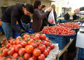 صحفي تركي: كيلو الطماطم سيرتفع إلى 40 ليرة