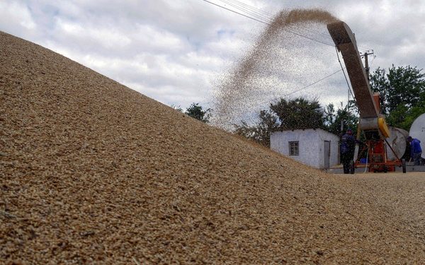 تركيا تعلن انتهاء محادثات “إسطنبول” بشأن الحبوب الأوكرانية