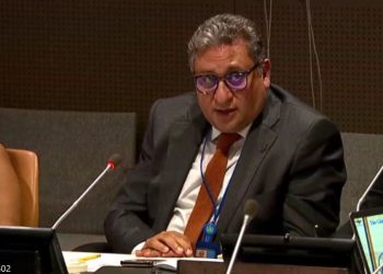 تركيا.. زعيم المافيا سادات بكر يستهدف مالك مجموعة جنكيز القابضة