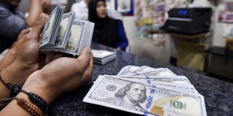 احتياطيات البنك المركزي التركي من الدولار تتآكل في طريقها إلى الذوبان