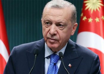 صحيفة روسية تحدد موعد إجراء انتخابات مبكرة في تركيا