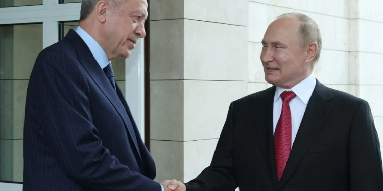 محلل صربي: أردوغان يريد مد جسر تركي بين روسيا والغرب