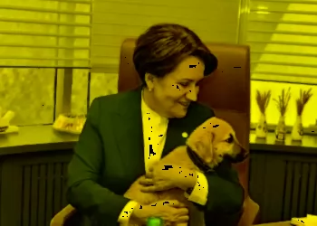 كلب يتربص بالمرأة الحديدية في تركيا