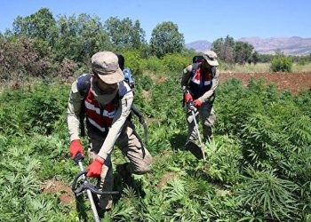 تركيا.. مصادرة كميات ضخمة من المخدرات في ولاية دياربكر