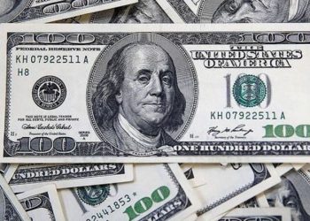 اقتصادي تركي: الدولار يتجاوز 20 ليرة الشهر القادم