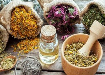 نباتات عشبية تمنحنا الراحة النفسية 